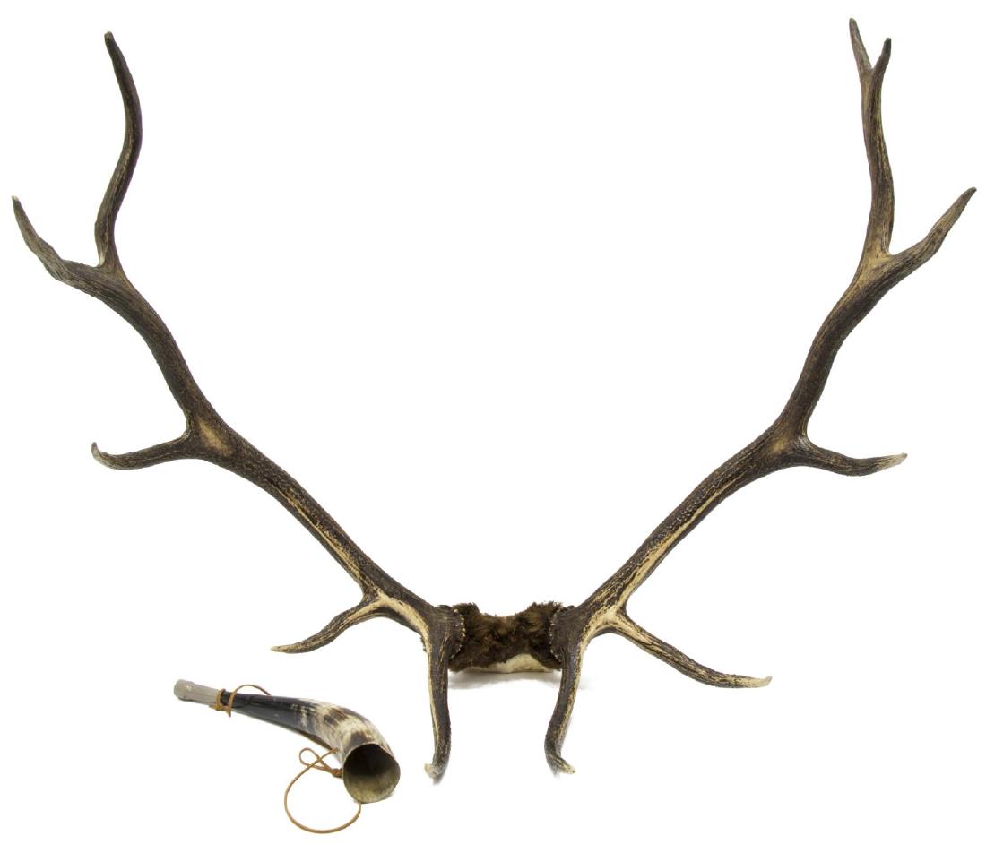 (2) LARGE 10 POINT ELK RACK & POWDER HORN: (lot of 2) Large 10 point elk rack, 32"h, 33'w, 13.25"d'; (1) powder horn, cow, modern, total: 6lbs Start Price: $60.00