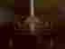 item-58950254=4