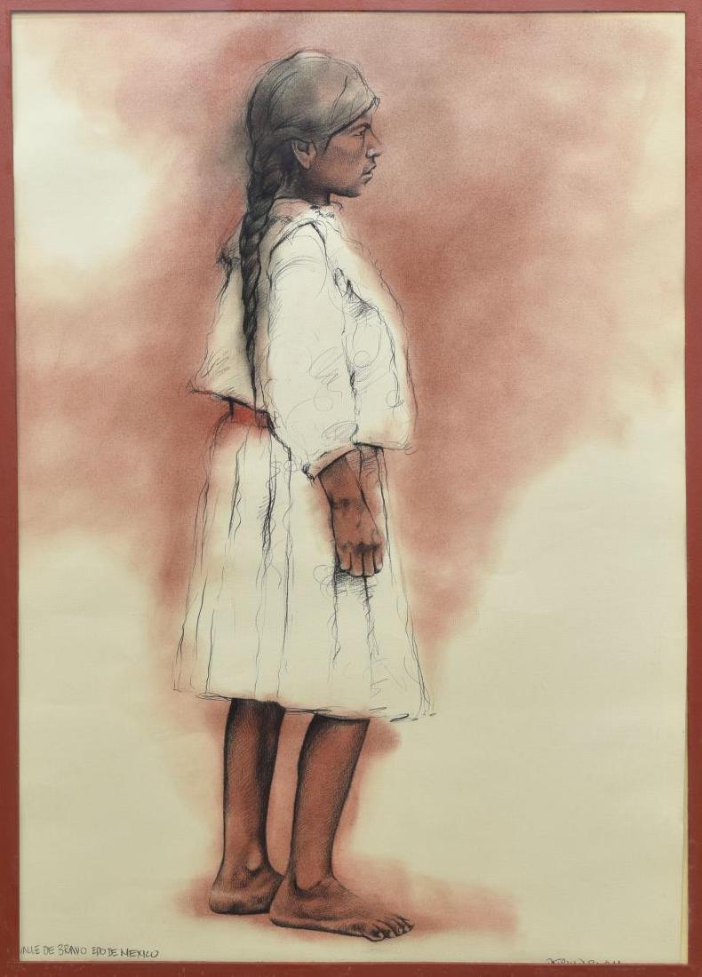 PATRICIO ROBLES GIL (MEXICO, B.1955) DRAWING: Framed pastel and graphite drawing on paper, "Valle de Bravo Edo de Mexico," signed lower right Patricio Robles Gil (Mexico, b. 1955), titled lower left, crack to glass, sight: 26.75"h, 18.75"w, overa