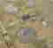 item-60391410=3