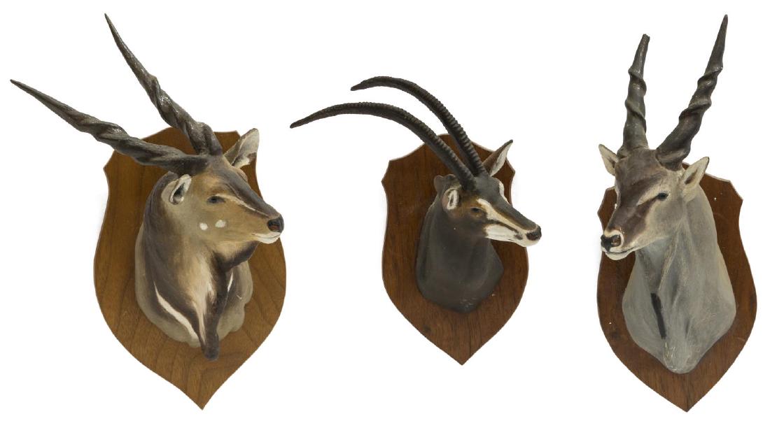 (3) LOUIS PAUL JONAS STUDIOS TROPHY MOUNTS, ELAND: (lot of 3) Louis Paul Jonas (American, 1894-1971) Studios miniature trophy mounts, signed to back, including: (1) Giant Eland, numbered 8/89 to back under sticker; (1) Common Eland, loss to one antler