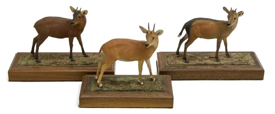 (3) LOUIS PAUL JONAS STUDIOS WILDLIFE SCULPTURES: (lot of 3) Louis Paul Jonas (United States, 1894-1971) Studios wildlife sculptures, including: (1) Four-horned Antelope, signed and numbered 11/89, (1) Peter's Duiker, signed and numbered 4/90, (1) Bl