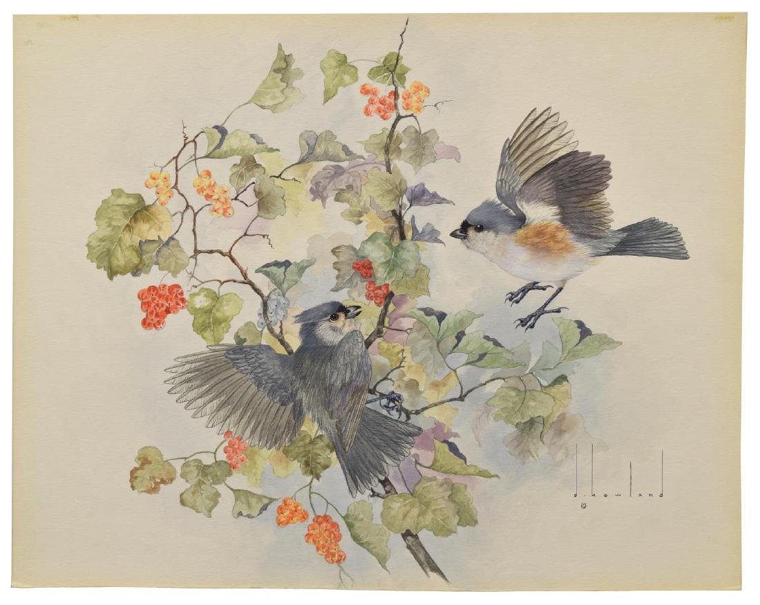 D. HOWLAND (NY, 1920-1999) WATERCOLOR PAINTING: Unframed watercolor and gouache painting on board, Tufted Titmouse, signed lower right D. Howland (Douglas Leo Howland, New York, 1920-1999), depicting a male and female tufted titmouse on berry branc