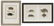 (2) FRAMED HAND-COLORED TURTLE LITHOGRAPHS