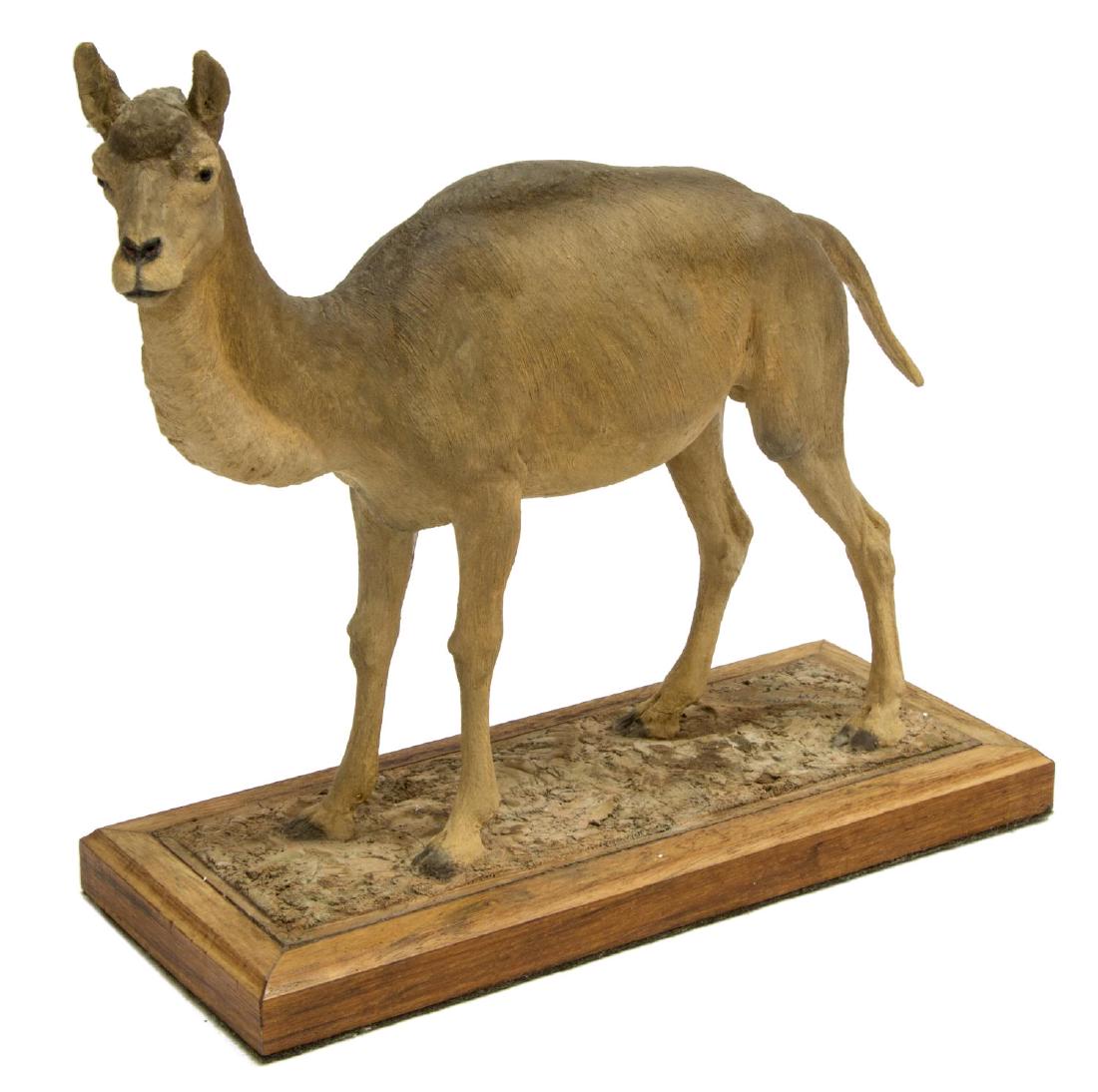 LOUIS PAUL JONAS STUDIOS CAMELOPS SCULPTURE: Louis Paul Jonas (American, 1894-1971) Studios wildlife sculpture, Camelops (Prehistoric Camel), signed and number 1/89 to back right, approx 9.25"h, 10.5"w, 4"d, 4.75lbs **Provenance: From the estate