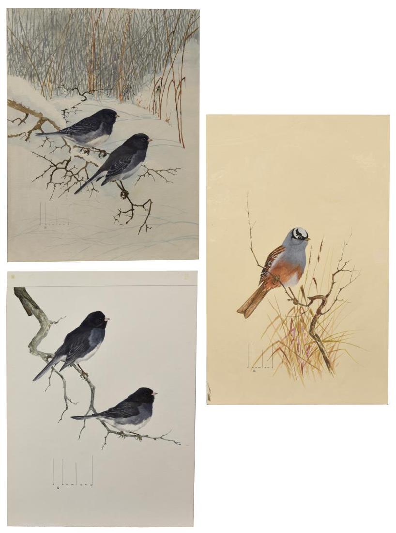 (3) D. HOWLAND (NY, 1920-1999) WATERCOLOR PAINTING: (lot of 3) Unframed watercolor and gouache paintings on board, signed D. Howland (Douglas Leo Howland, New York, 1920-1999), including: (1) Slate Colored Juncos, signed lower left and verso, board: ap