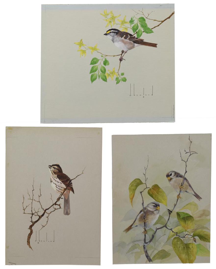 (3) D. HOWLAND (NY, 1920-1999) WATERCOLOR PAINTING: (lot of 3) Unframed watercolor and gouache paintings on board, signed D. Howland (Douglas Leo Howland, New York, 1920-1999), including: (1) Song Sparrow, signed lower left and verso, depicting bird pe