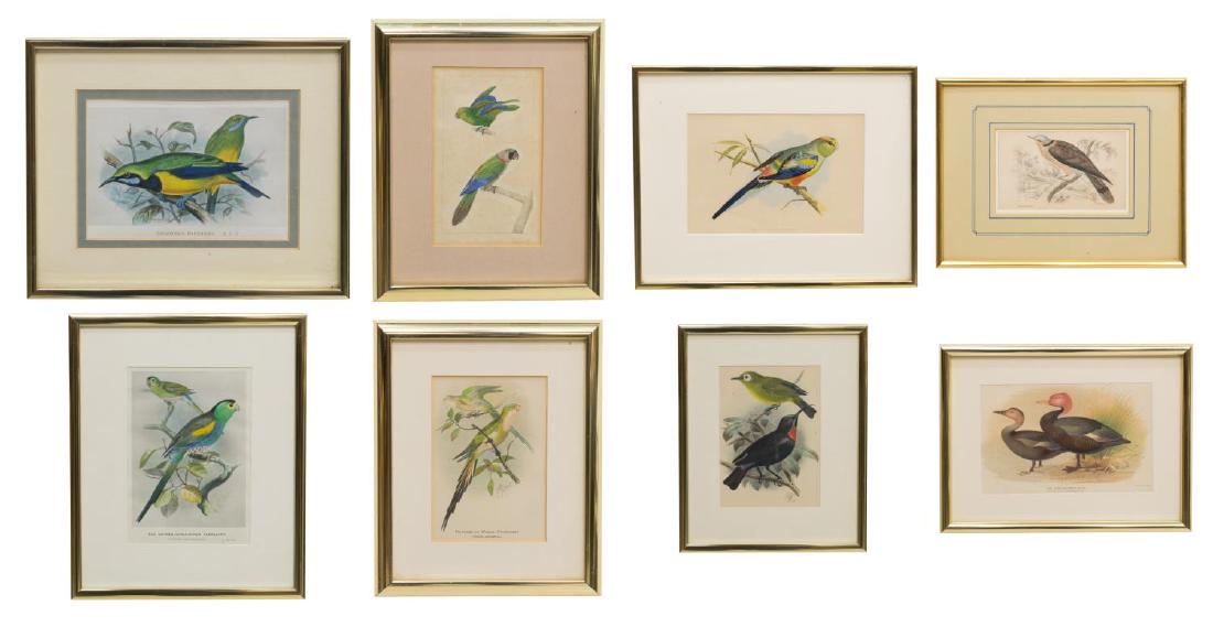 (8) FRAMED HAND-COLORED BIRD LITHOGRAPHS: (lot of 8) Framed hand-colored lithographs, late 19th c., including: (1) "Many-Colored Parakeet," from "Parrots in Captivity" by W.T. Greene, 1884; (1) "The Pink-Headed Duck - Rhodonessa caryophyllace