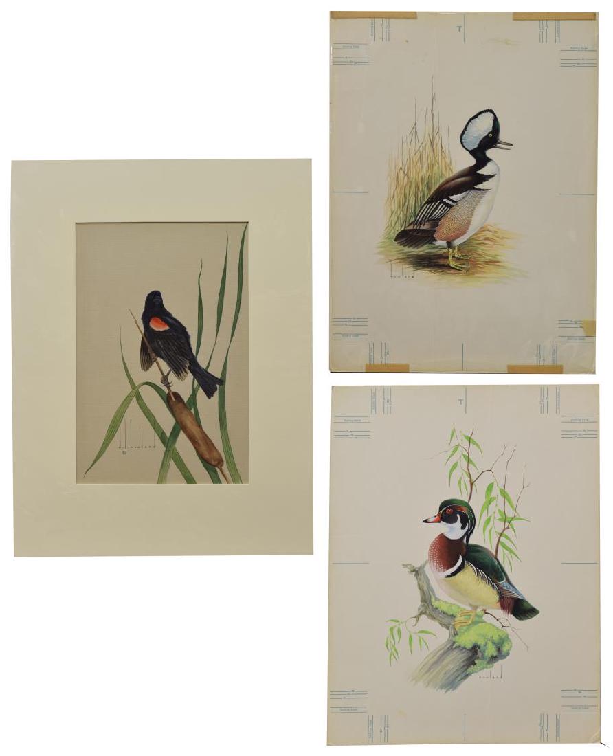 (3) D. HOWLAND (NY, 1920-1999) WATERCOLOR PAINTING: (lot of 3) Unframed watercolor and gouache paintings on board, signed Howland (Douglas Leo Howland, New York, 1920-1999), including: (1) Red-winged Blackbird, signed lower left and verso, depicting a 