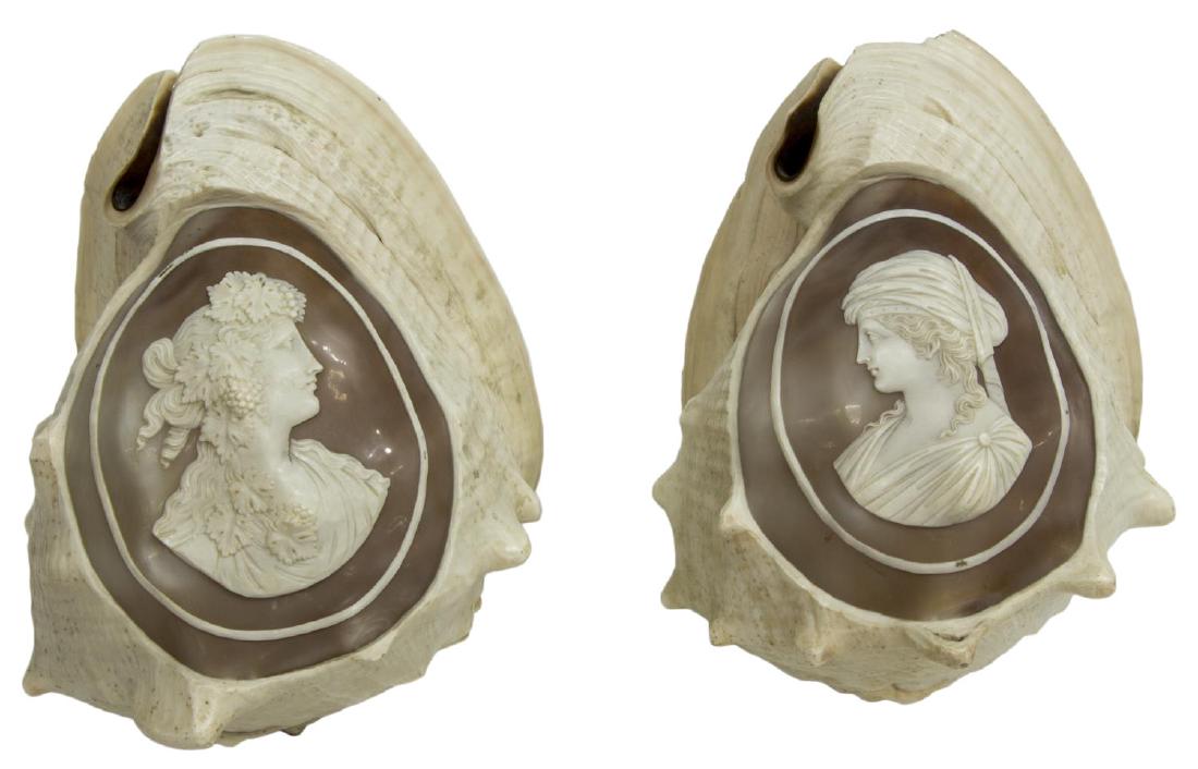 (2) CAMEO CUT CONCH SHELLS, BEAUTIES IN PROFILE (1 of 4)