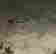 item-61867163=4