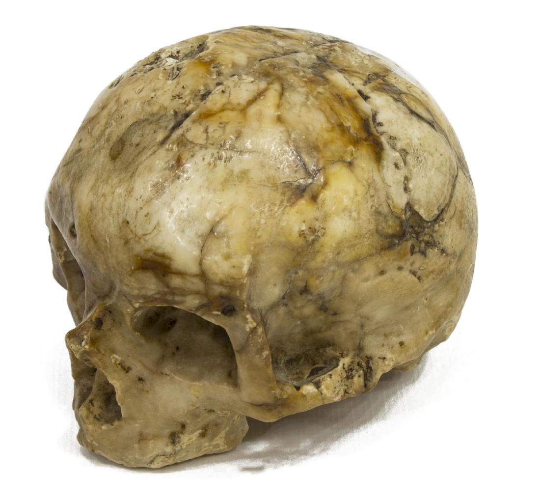 CARVED MARBLE SKULL MEMENTO MORI, 16TH C. (1 of 4)