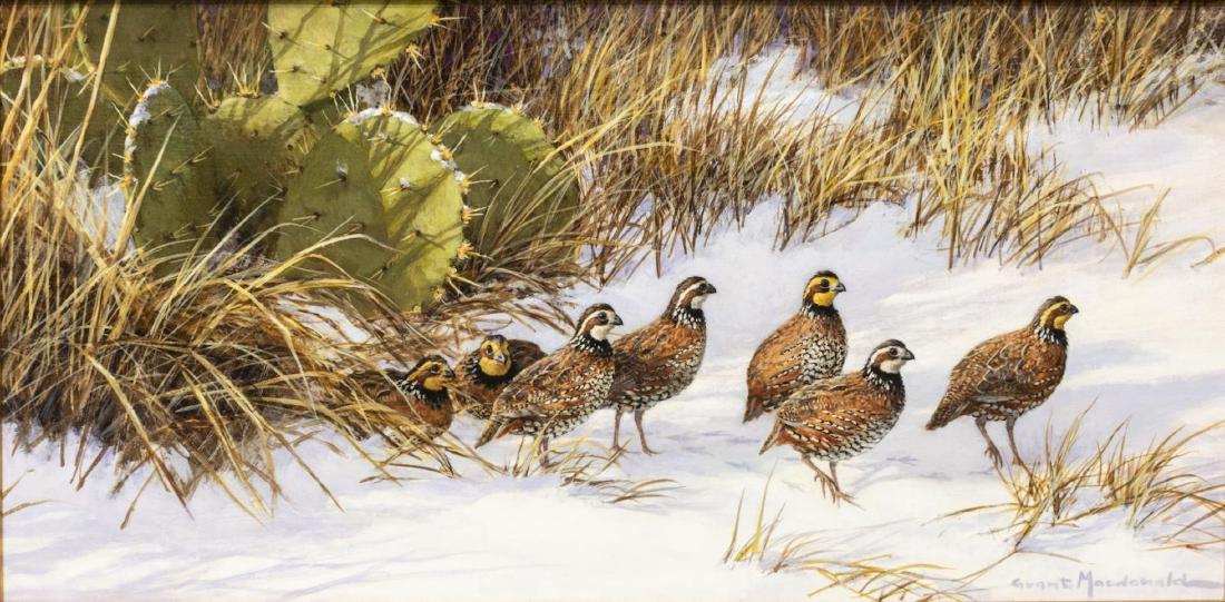 GRANT MACDONALD (B. 1944) QUAIL & CACTUS (1 of 4)