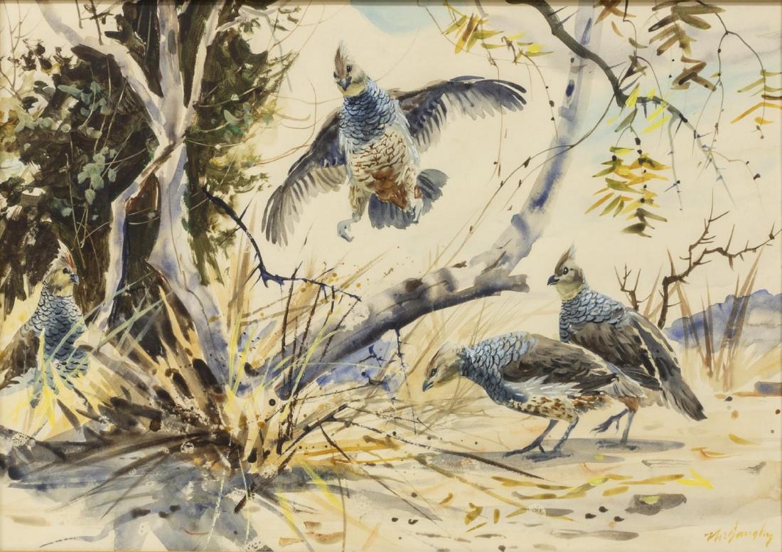 CLAY MCGAUGHY (B. 1931) BIRD WATERCOLOR PAINTING (1 of 4)