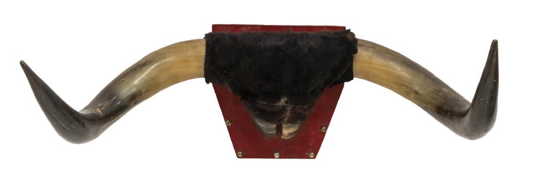 MOUNTED MEXICAN COW LONGHORNS: Mounted Mexican longhorns and hoof mounted on a board, 12"h, 30"w, 15"d, 6.25lbs Start Price: $60.00