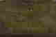 item-66118333=3