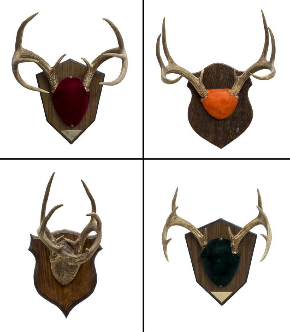 (4) DEER ANTLER TROPHY MOUNTS ON WOOD BACKING (1 of 5)