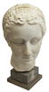 MARBLE BUST OF A GREEK WOMAN, 11.5"H