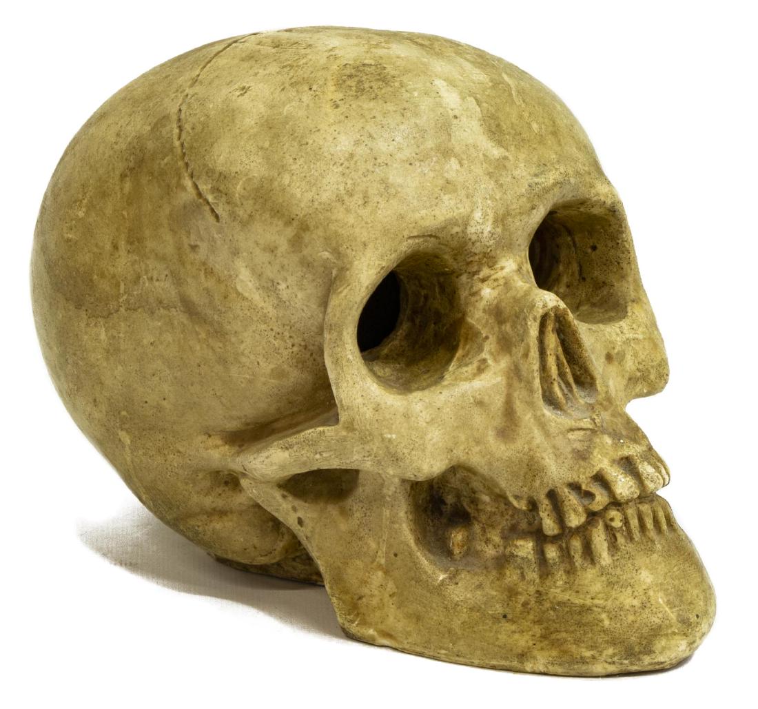 MEMENTO MORI CERAMIC MODEL OF HUMAN SKULL (1 of 4)