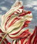 KEITH MILLER (B.1949) BOTANICAL TULIP OIL PAINTING - 3