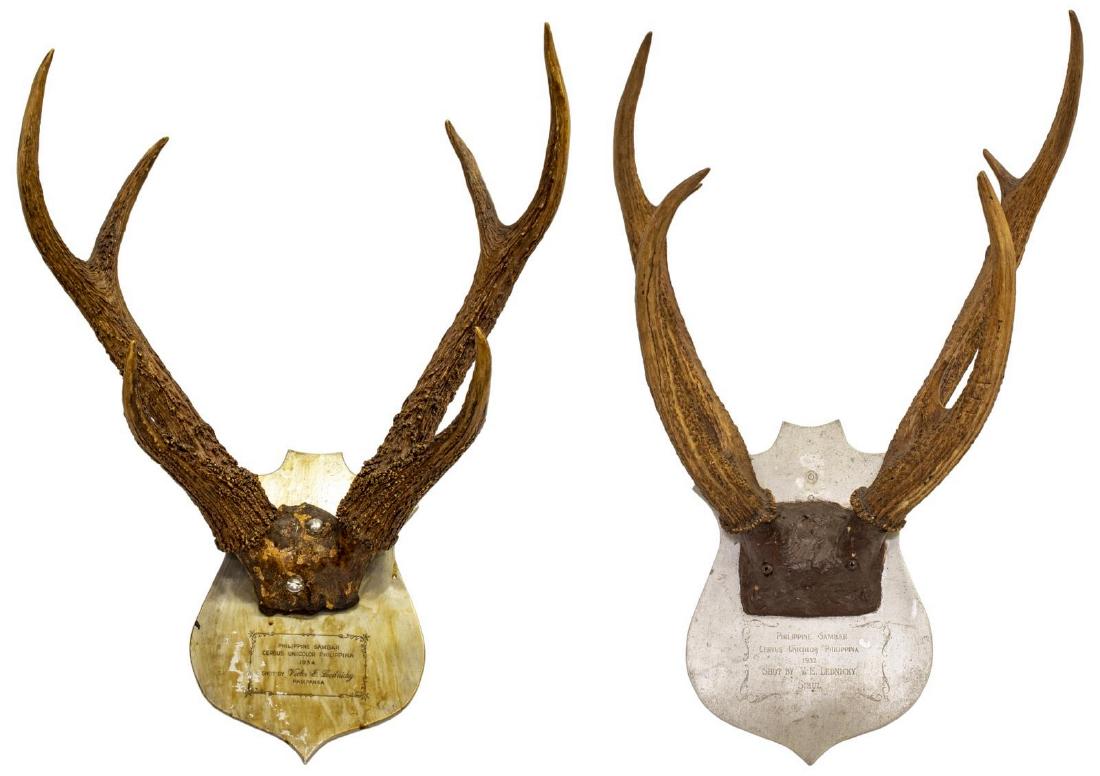 (2) PHILIPPINE SAMBAR ANTLER TROPHY MOUNTS: (lot of 2) Philippine Sambar antler trophy mounts, on sheild form metal backs, with personalization, largest: approx 21.5"h, 18.5"w, 14.5"d, 9.75lbs total Start Price: $80.00