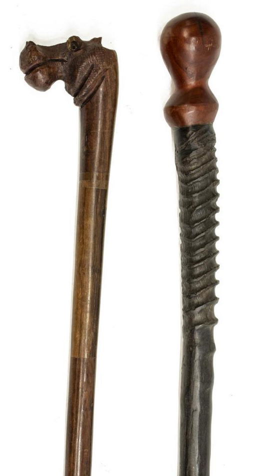 2 African Antelope Horn Wood Walking Sticks