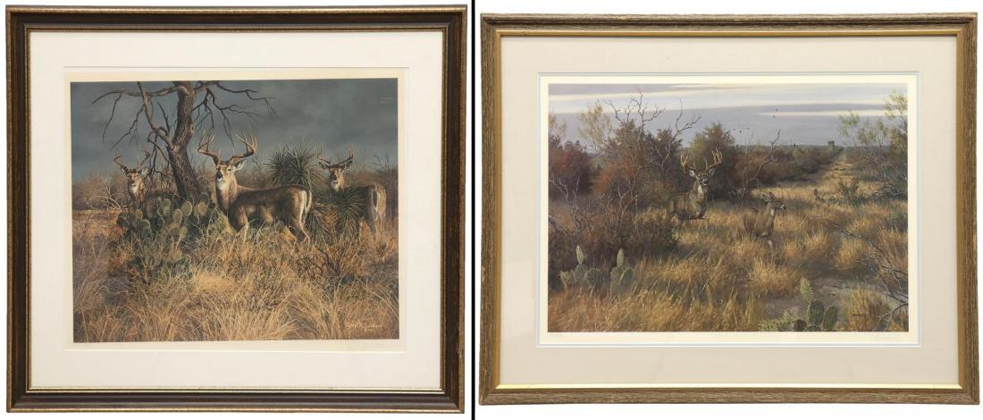 (2) WILDLIFE STAG PRINTS, GARY SWANSON & DRINKARD: (lot of 2) Framed signed limited-edition prints, including: (1) Stags in the Brush, signed lower right Gary R. Sawnson (Gary Robert Swanson, Arizona, California, 1941-2010), numbered 374/ 450, sight:
