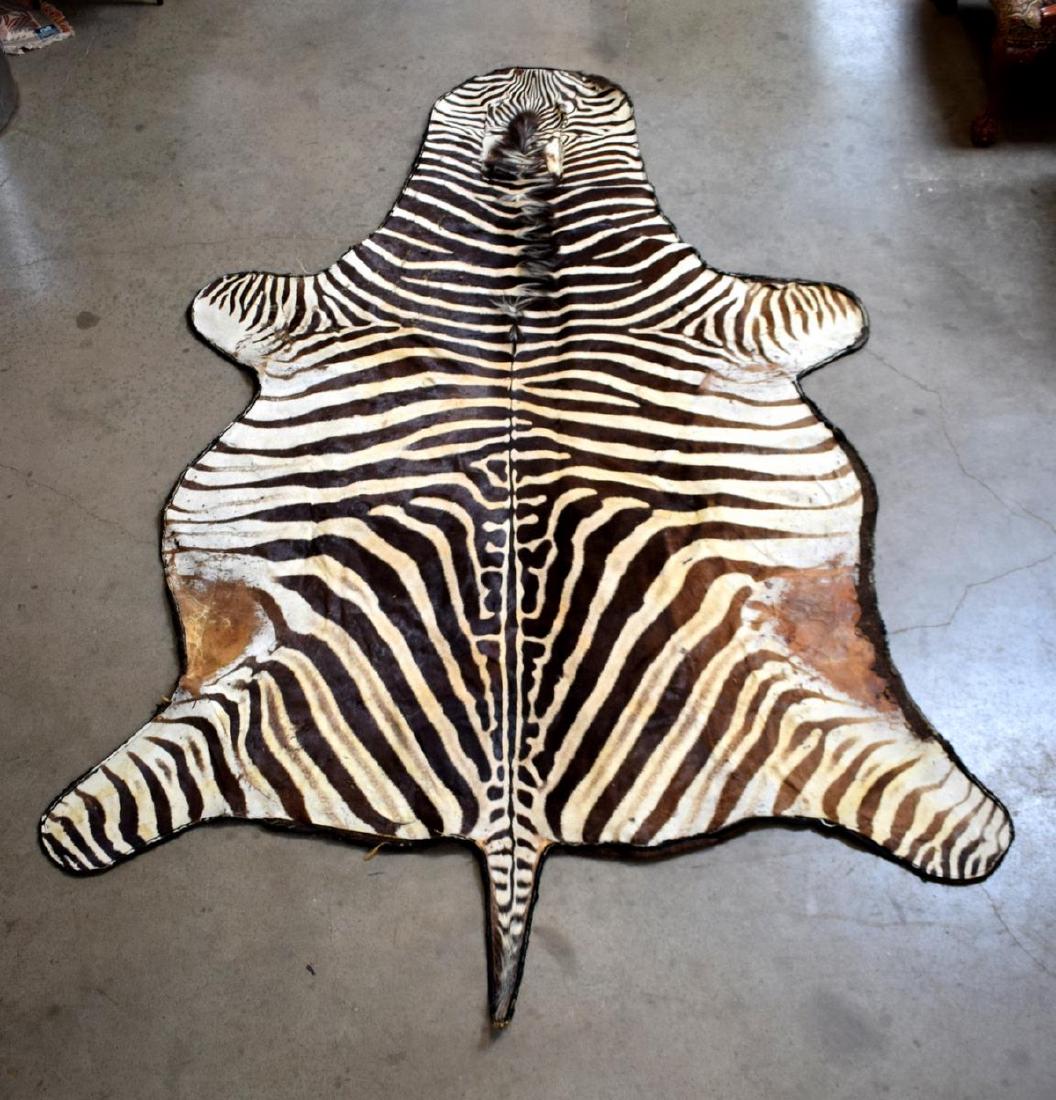 ZEBRA HIDE RUG, TAXIDERMY, APPROX. 78" x 122": Zebra hide rug sewn on brown material backing, tears at one side, largest measurement including tail, approx. 78" x 122" Start Price: $300.00