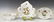(11) HEREND ROTHSCHILD BIRD PORCELAIN TABLE ITEMS - 2