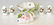 (11) HEREND ROTHSCHILD BIRD PORCELAIN TABLE ITEMS - 4