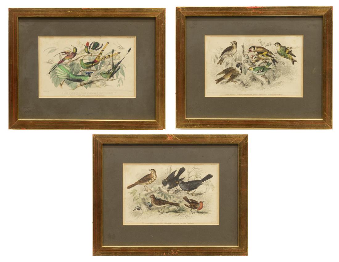 (3) J. STEWART ORNITHOLOGY ENGRAVED BOOK PLATES (1 of 5)