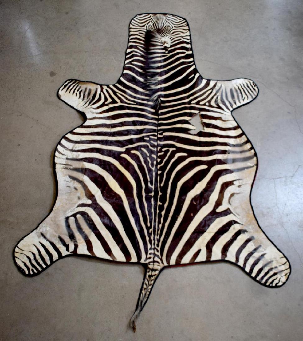 ZEBRA HIDE RUG, TAXIDERMY, APPROX 78" x 124" (1 of 5)