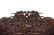 JAPANESE DRAGON & OWL CARVED HARDWOOD SOFA - 5
