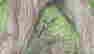 item-76577501=4