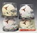(4) TEXAS SIGNED MINI HELMETS, RICKY WILLIAMS - 3