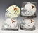 (4)TEXAS SIGNED MINI HELMETS McCOY, MACK BROWN - 2