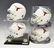 (4)TEXAS SIGNED MINI HELMETS McCOY, RICKY WILLIAMS - 2