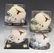 (4) TEXAS SIGNED MINI HELMETS, RICKY WILLIAMS - 2