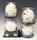 (4) TEXAS SIGNED MINI HELMETS, RICKY WILLIAMS - 5