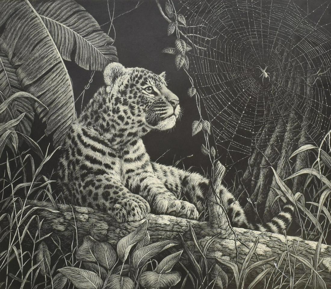 DANIEL C. TOLEDO WILDLIFE SCRATCHBOARD PRINT: Framed scratchboard print on paper, Jaguar Cub with Spider Web, signed lower right D.C. Toledo (Daniel C. Toledo, United States, 20th/ 21st c.), numbered 102/ 250, Country Store Gallery label verso, s