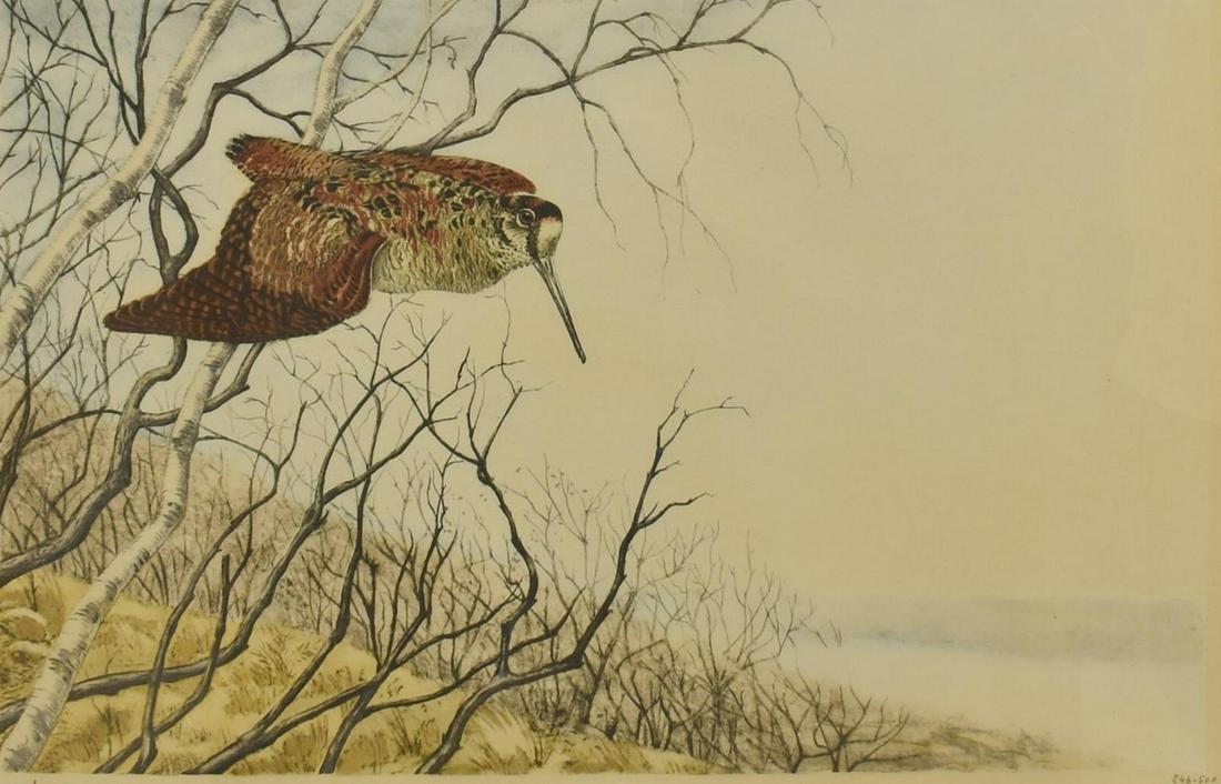 LEON DANCHIN (1887-1938) WOODCOCK ETCHING: Framed etching on paper, Woodcock, signed lower left Leon Danchin (France, 1887-1938), numbered 246/ 500, sight: approx 20.25"h, 28"w, overall: approx 22.5"h, 30.25"w, 7.25lbs Start Price: $100.00