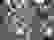 item-5173539=2