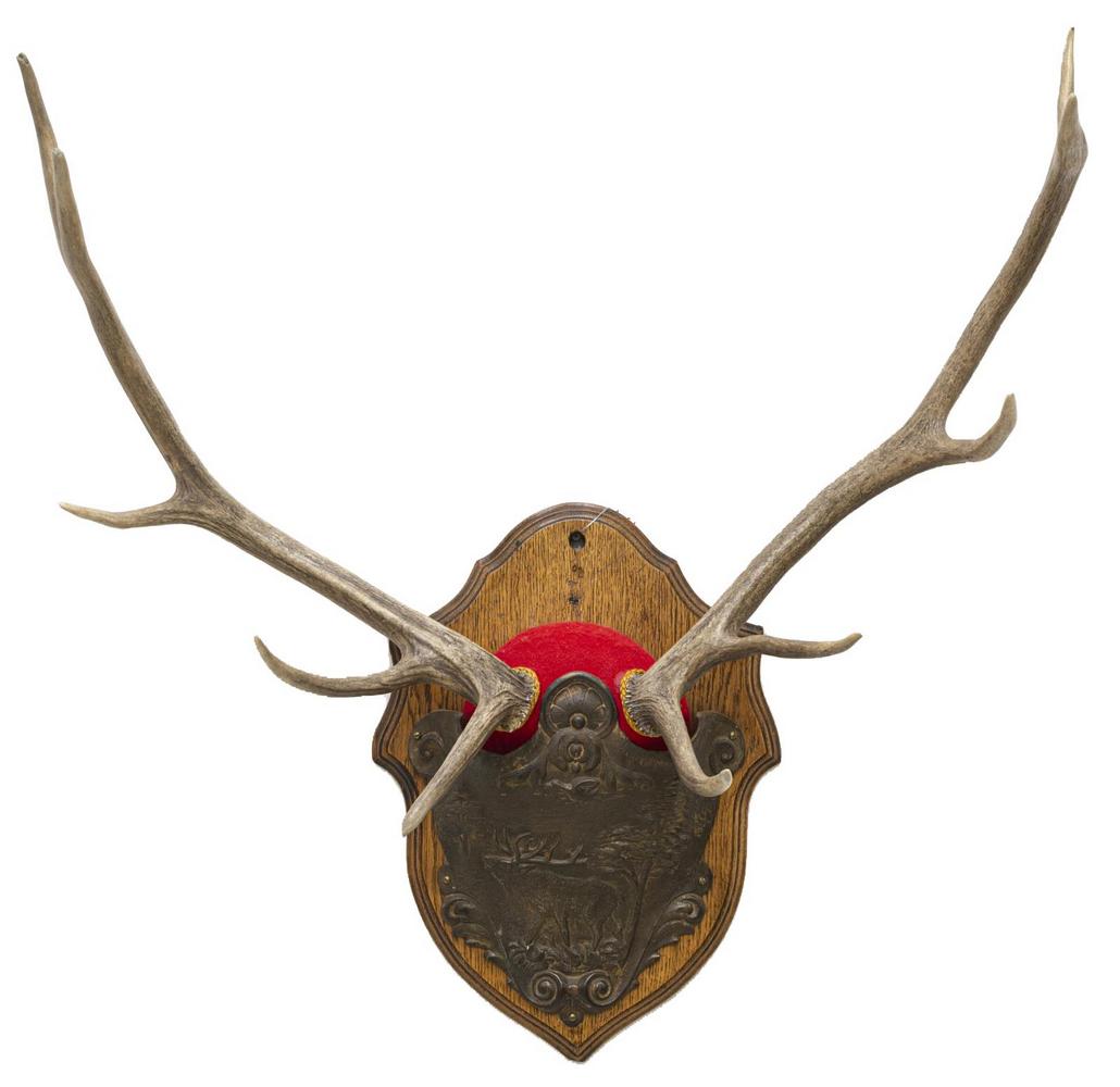 BLACK FOREST 10-POINT TROPHY MOUNT IRON PLAQUE: German Black Forest trophy mount, late 19th c., with 10-point antlers, over cast iron plaque with stag, on a shield-form oak backboard, approx 37"h, 34"w, 15.5"d Start Price: $150.00