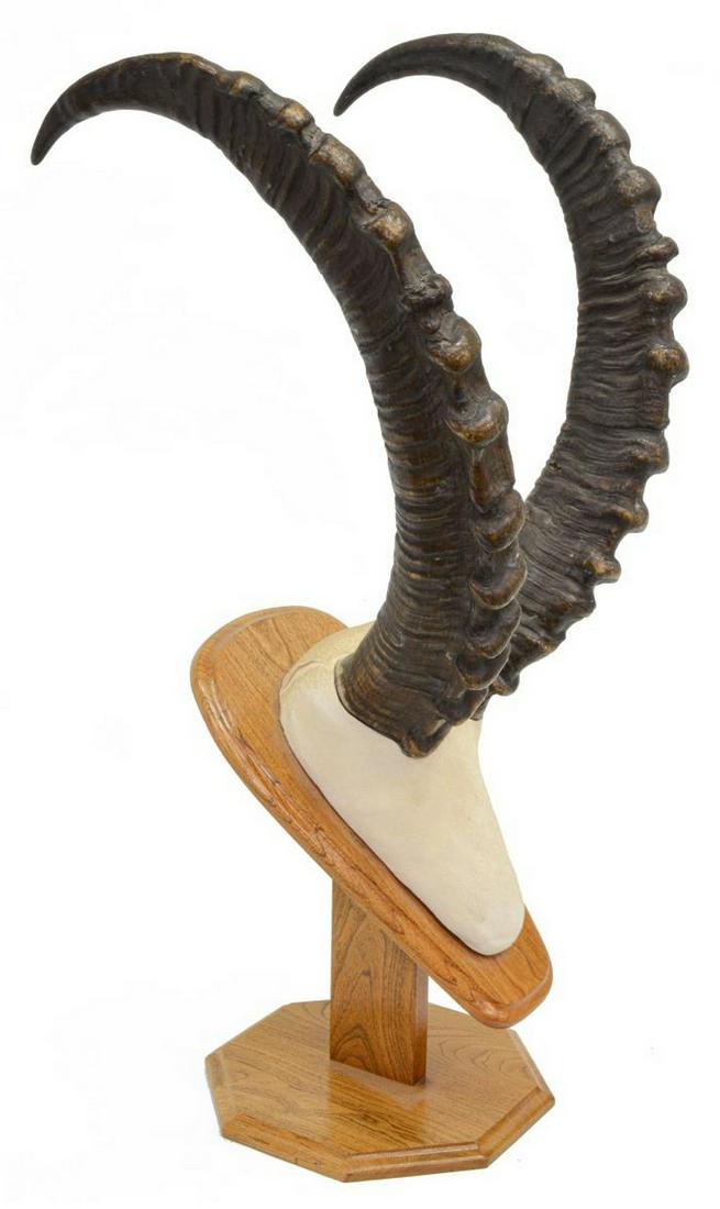 TAXIDERMY, SABLE ANTELOPE MOUNTED RINGED HORNS: Taxidermy, Sable antelope ringed mounted horns, overall including stand, 29"h, 12.5"w, 11.5"d, 14lbs Start Price: $60.00