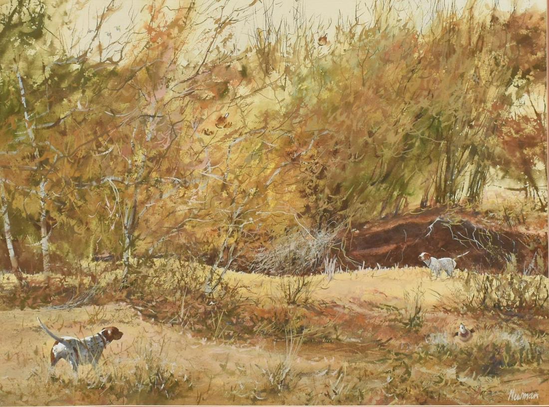 JERRY NEWMAN (1934-2008) QUAIL HUNT W/ POINTERS: Framed watercolor and gouache painting on paper, Quail Hunt with Pointers, singed lower right Newman, (Jerry Newman, Texas, 1934-2008), sight: approx 21"h, 29"w, overall: approx 31.5"h, 39.5"w, 14.75l