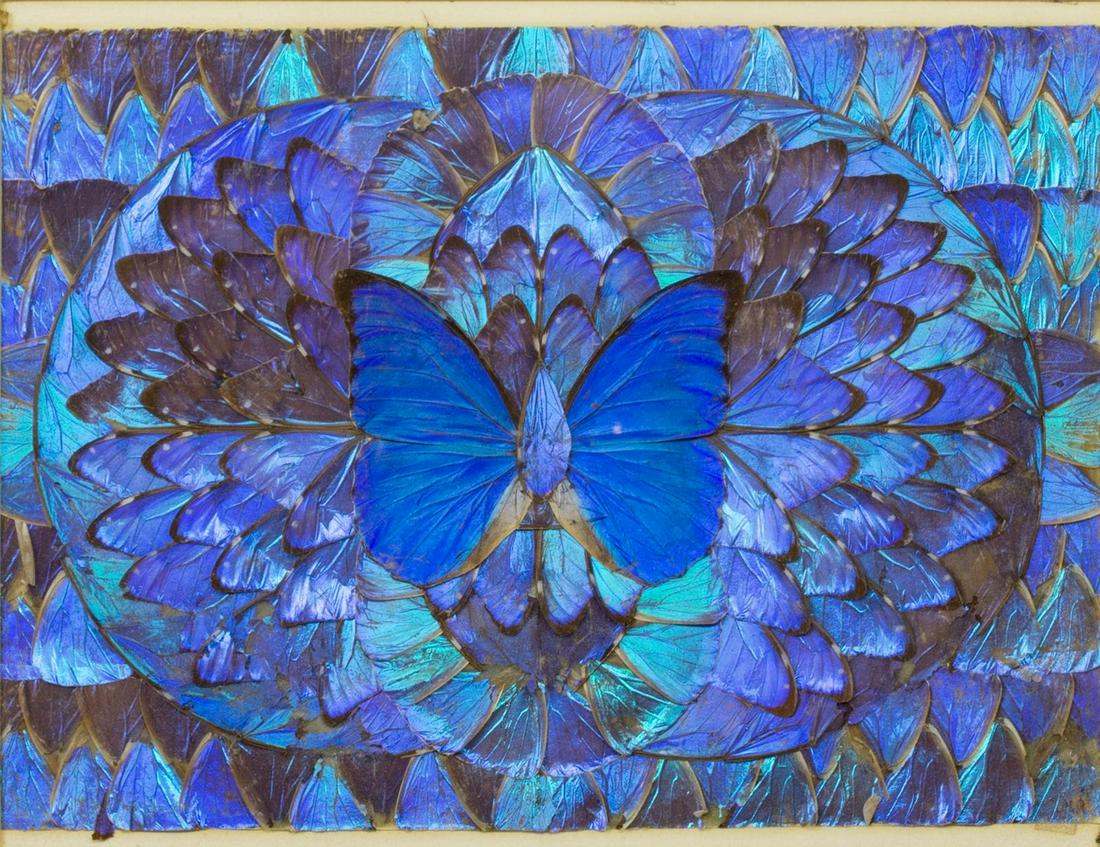 FRAMED IRIDESCENT GIANT BLUE MORPHO BUTTERFLIES (1 of 3)
