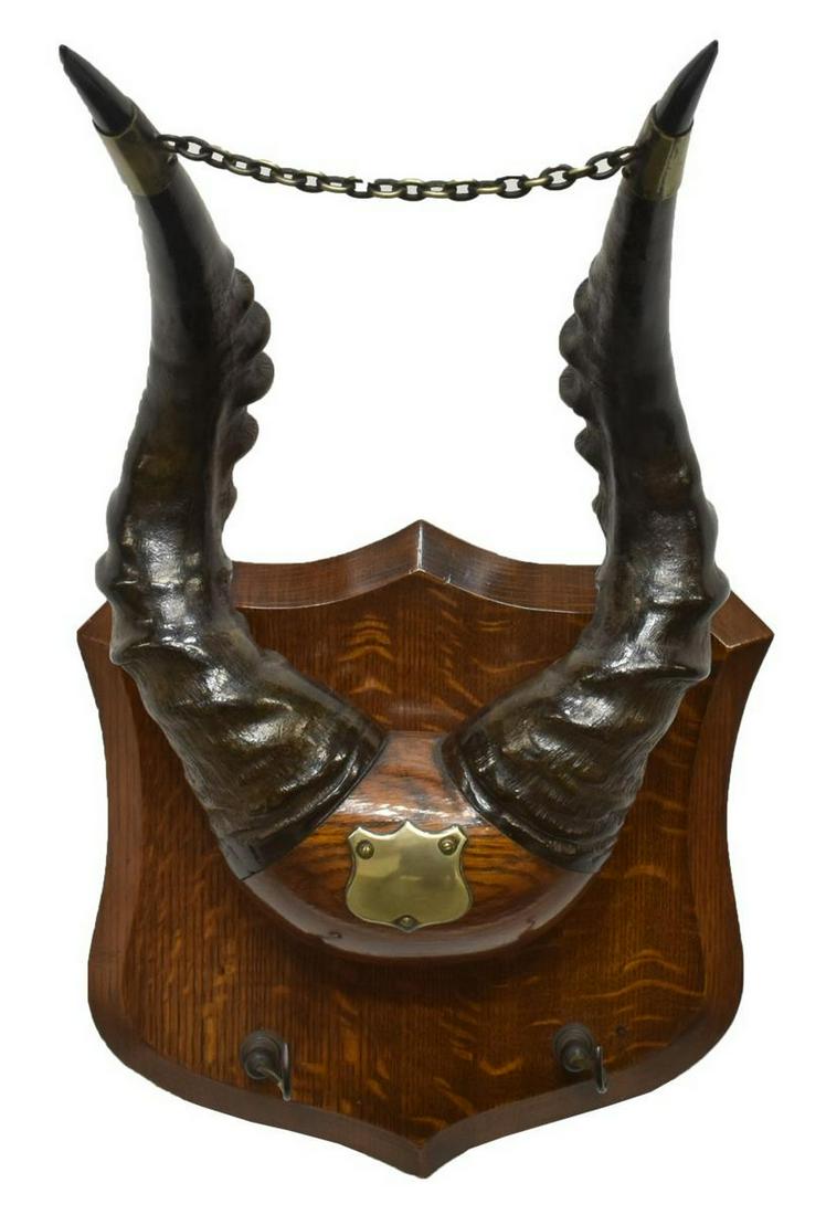 AFRICAN ELAND ANTELOPE HORN TROPHY MOUNT: African Eland antelope horn trophy mount, on an oak mount with two hooks and a metal shield-form cartouche, approx 22.25"h, 12.25"w, 11.75"d **Provenance: From the estate of Dr. James R. Lucie, a well