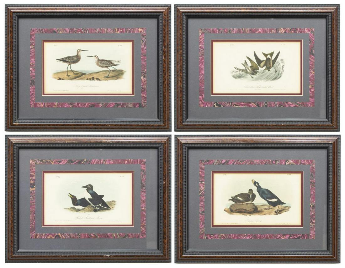 (4) FRAMED AUDUBON BIRDS OF AMERICA LITHOGRAPHS: (lot of 4) Framed lithographs on paper, from "The Birds of America," John James Audubon (American, 1785-1851), octavo edition printed by J.T. Bowen, Philadelphia, including: (1) "Velvet Duck," (1) "Fo