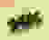 item-86255331=5