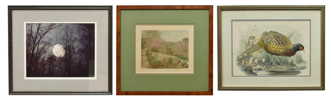 (3) FRAMED ART, WALLACE NUTTING, JOHN EVELAND (1 of 5)